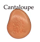 Cantelope