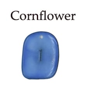 Cornflower